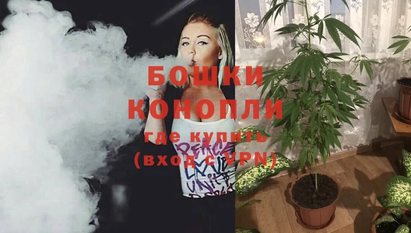 spice Михайлов