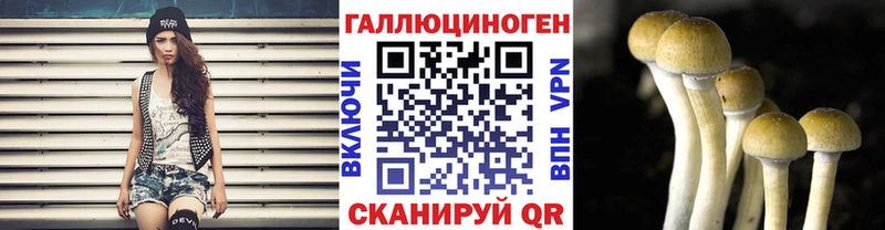 где можно купить   ОМГ ОМГ зеркало  Галлюциногенные грибы Magic Shrooms  Шелехов 